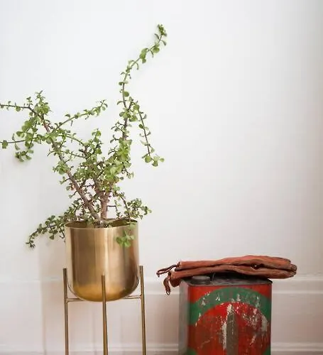 Object 1br Shared Bath 2c * Bisbee